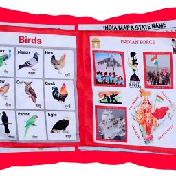 Colorful Cloth Pillow Book for Toddlers – India Themed Learning Pages-image-52