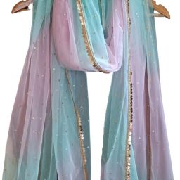 Net Embellished Pink, Light Blue Women Dupatta-picture-28
