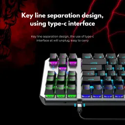 Aula F2067 TKL 100% Anti ghosting Mechanical Gaming Keyboard with 87 keys| Wired USB Tenkeyless Gaming Keyboard Compatible with Desktop, Laptop, Mac with gaming mode ,stand support,multimedia_keys,F2067 image 5