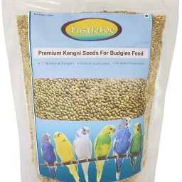 Product Budgie, Finch, Love Bird Premium Foxtail millets Bird Food Kangani Seed 0.5 kg Dry Young, Adult Bird Food-image-63