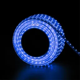 440 LEDs 5 m Blue Steady Strip Rice Lights-image-58