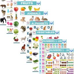 Kids Educational Charts set (Back to Back Printed) | Size 48x37 cm-24