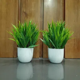 2 Beans G, Artificial Plant For H, Office Decor Study Table & Beautiful Product Bonsai Wild Artificial Plant with Pot-11