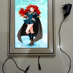 , CINDERELLA MODAL NO-53 , 15.5 inch LED PHOTO FRAME-16