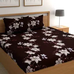 cg homes Dark Brown Floral 160 TC Microfiber Queen Sized Bedsheet with 2 Pillow Covers-picture-27