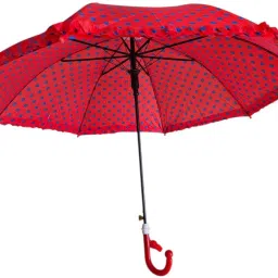 KIDS POLKA DOT UMBRELLA -FRILLED UMBRELLA Umbrella-image-99