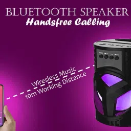 IMMUTABLE Ws03/Lz4103 new Bluetooth speaker with karoke mic T17 10 W Bluetooth Home Audio Speaker image 2