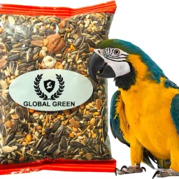 GLOBAL GREEN - Cockatoo & Macaw Bird Special 20 Type of Seed Mix 450 Gram pack Nuts 0.45 kg Dry Adult, New Born, Senior, Young Bird Food-image-19