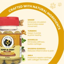 fur ball story Hip & Joint Care Tablet image 3