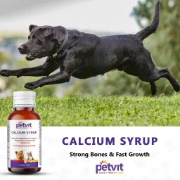 petvit Calcium Syrup with Calcium, Phosphorus, Vitamin D3 & B12 For Dog Stronger Bones, Teeth & Growth in Pet For All Age Group – 100ml Pet Health Supplements image 5