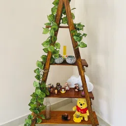 wenex crafts Engineered Wood Open Book Shelf image 5