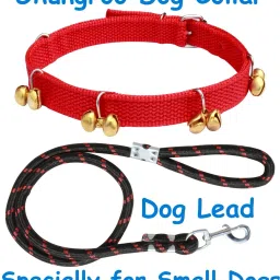 Dog Belt Combo of Red Ghungroo Collar with Black Lead Specially for Small Breed Dog Collar & Leash-47