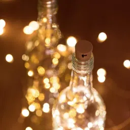 oneclickpicks 20 LEDs 3.05 m Yellow Steady String Rice Lights image 5