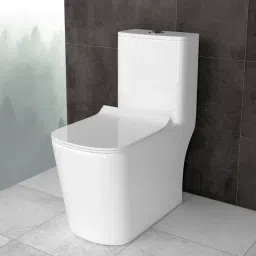 3001 Premium Grade Ceramic's One Piece 12 inches Trap Western Commode-image-59