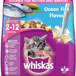 Whiskas Dry Food for Kittens (2-12 Months), Ocean Fish Flavour, 450g Pack Fish, Sea Food 0.45 kg Dry New Born Cat Food-image-48