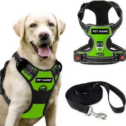 Double Side/Body Ajustable Dog Harness with Leash Dog Collar & Leash-image-98