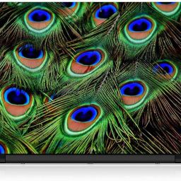 Flipkart SmartBuy Peacock Feather FSBSP082 Vinyl Laptop Skin Compatible for 15.6 inch-image-64