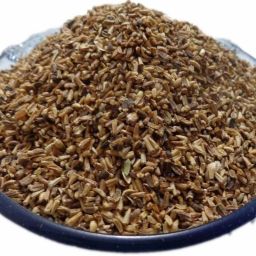 Kasni , Kasni Seeds , Kasini Beej , Cichorium Intybu Seed-image-1