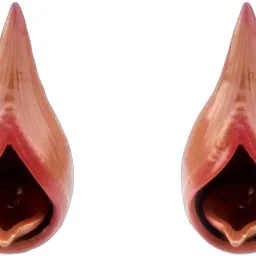 (Pack of 2) Ceramic Oil lamp\ Decorative Diya Ceramic, Porcelain (Pack of 2) Table Diya-image-89