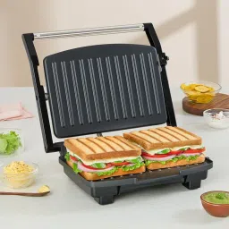 BSM08 Grill-picture-14