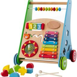 Activity Walker-2