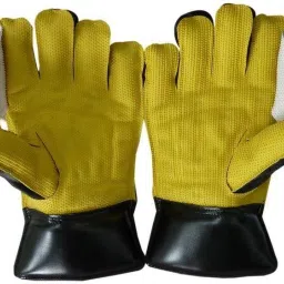 A Pair of Wicket Keeper Gloves Made With Composite Material Wicket Keeping Gloves-image-4