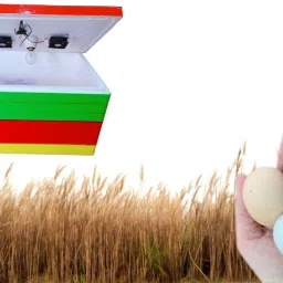 tm&w 100 Eggs Semi Automatic ,Egg Incubator Egg Incubator EBS materials, Egg Incubator image 5