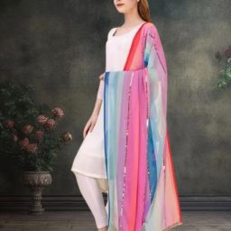 Georgette Striped, Embroidered, Self Design Multicolor Women Dupatta-image-15