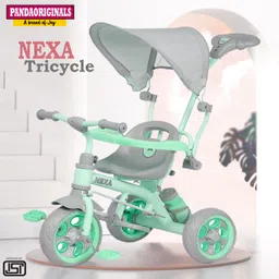 pandaoriginals Super For Kids, Age 2-5 yrs, weight capacity 50kgs 3 IN 1 Tricycle With Canopy, Parent Handle, Sipper, Footrest, Safety Railing Tricycle-picture-48