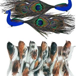 Pack of 4 Decorative Feathers-23