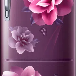 183 L Direct Cool Single Door 3 Star Refrigerator-picture-19