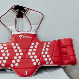 Taekwondo WT Imported Chest Guard for 18+ Yrs Players of Kung Fu/Judo Boxing Head Guard-image-79