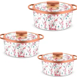 Florra Superior Inner Steel outer plastic thermoware casserole set of 3 Pack of 3 Thermoware Casserole Set-picture-25