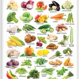 Vegetables Early Learning Educational Chart for Kids | 20"X30" inch |Non-Tearable and Waterproof | Double Sided Laminated | Perfect for Homeschooling, Kindergarten and Nursery Students Paper Print-18