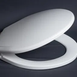 Polypropylene Toilet Seat Cover-image-13