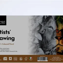 Artists Pack of 30 Sheets, Unruled, A3, 160 gsm Drawing Paper-image-63