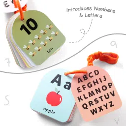 intellibaby First Visual Hanging Brain Flash Cards for Babies, 20 Cards With Ring & String image 3