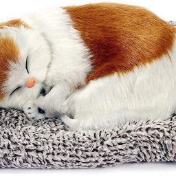 Sleeping Cute Cat for Car Dashboard and Home Decor with Activated Carbon for Toy Decorative Showpiece - 7 cm-image-26
