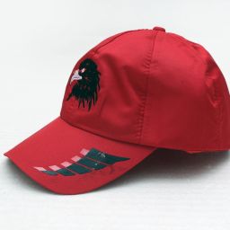 Printed Sports/Regular Cap-image-21