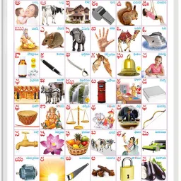 Telugu Alphabet (Telugu) Early Learning Educational Chart for Kids | 20"X30" inch |Non-Tearable and Waterproof | Double Sided Laminated | Perfect for Homeschooling, Kindergarten and Nursery Students Paper Print-image-59