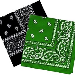Bismaadh Cotton Paisley Pattern Bandana, Scarf and Handkerchief for Men & Women ["Black","Dark Green"] Handkerchief-image-61