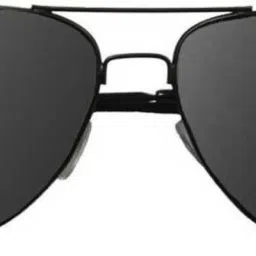 sport collection Polarized Aviator Sunglasses (Free Size) image 2