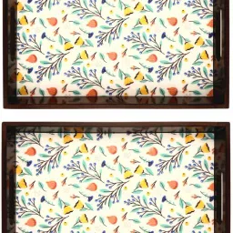multicolor tray with light tray AHS-T334 Tray-image-45