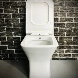 Premium Grade Ceramic Floor Mounted European Water Closet Western Toilet Commode/EWC Battle S Trap with Soft Close Slim Seat Cover Western Commode-13