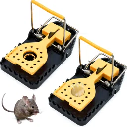 Mouse Trap Snap Trap-picture-29