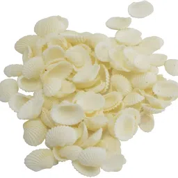Sea shell white, 500 gms pack, used in aquarium, art & craft, decorations, table decoratioons, 500 pcs , size 2 cm River Rock Unplanted Substrate-image-57