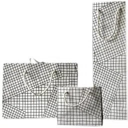 Printed Party Bag-18