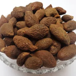 NIRANJAN PHAL - NIRANJAN FAL - MALVA NUTS - STERCULIA LYCHNOPHORA Seed-picture-40