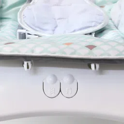 fiddlys Newborn to Toddler Chair with Music and Vibration Function, Adjustable Mode, Rocker image 3