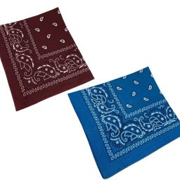 Men, Women, Boys, Girls Printed Bandana-image-9